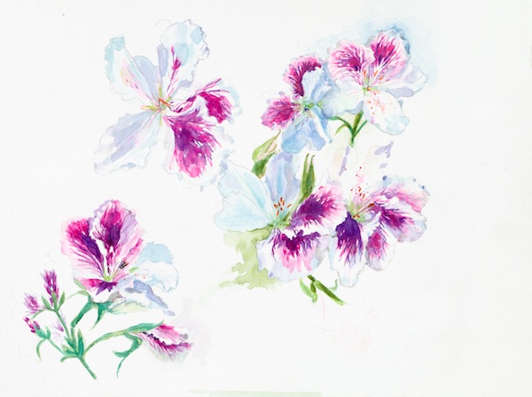 Watercolor by Paddy Hurley