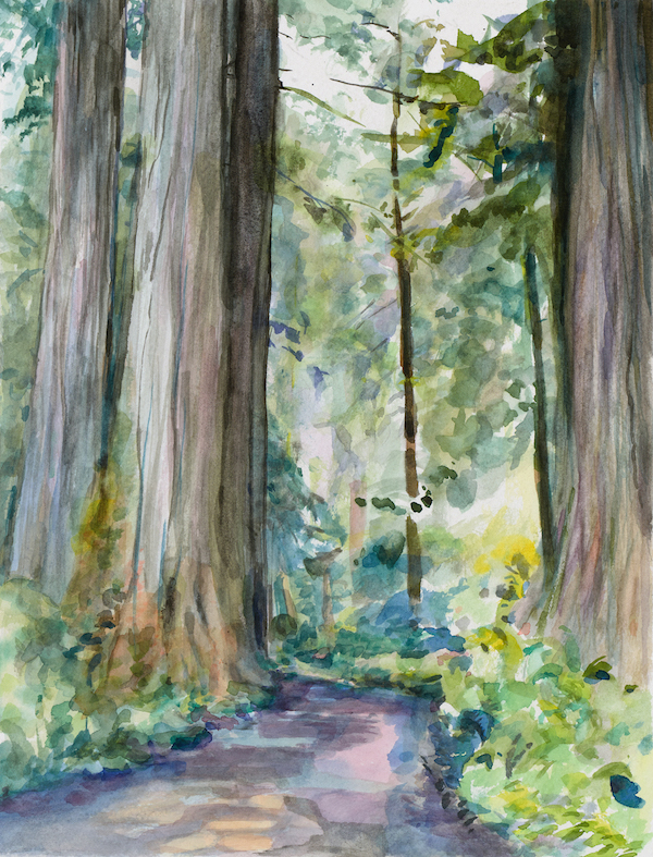 Through the Woods watercolor